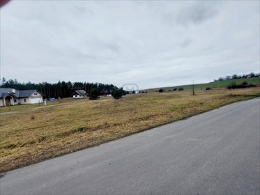 Na sprzedaż działka 3203 m² w Zwierzynie z mediami i lasem działka Zwierzyn