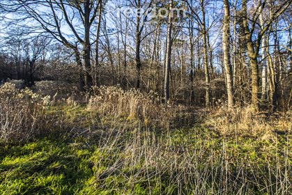 działka na sprzedaż 3975m2 działka Giedlarowa