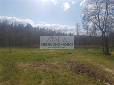 Działka 1,2 ha z planem podziału i starodrzewiem - polecam! działka Książenice