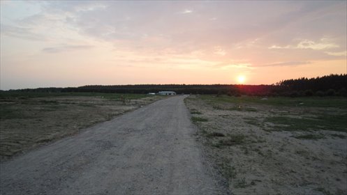 Działka 5000 m² pod zabudowę wielorodzinną (Niechorze) działka Niechorze