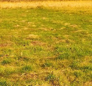 działka na sprzedaż 2000m2 działka Warszawa, Białołęka, Kobiałka, Ruskowy Bród