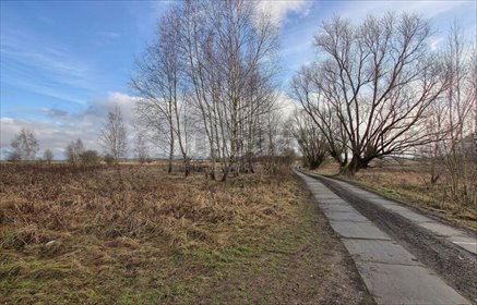 Działka rolna 1191 m² z dostępem do drogi (Wąwelnica) działka Wąwelnica