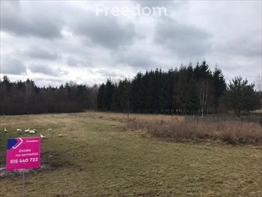 Działka 3800 m² w Mechlinie – idealna pod inwestycję! działka Mechlin