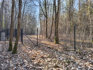 działka na sprzedaż 1459m2 działka Sokolniki-Las, Graniczna