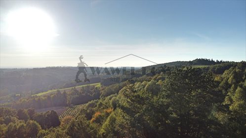 Działka leśna na sprzedaż Ryglice, Wola Lubecka 18 566m2 Foto 4