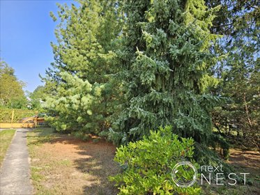 działka na sprzedaż 3600m2 działka Piaseczno, Zalesie Dolne