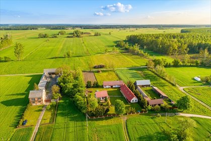 Blisko 8 ha  – Siedlisko pod Stadninę Koni dom Caców