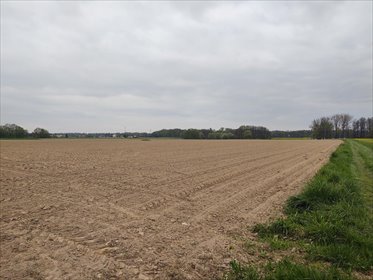 działka na sprzedaż 11560m2 działka Pruchna