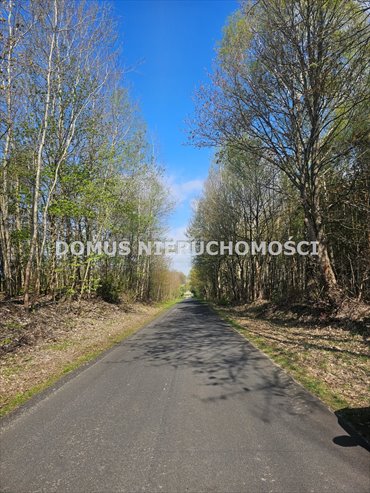 Działka 4100 m² w Teklinie (spokojna okolica, lasy) działka Teklin