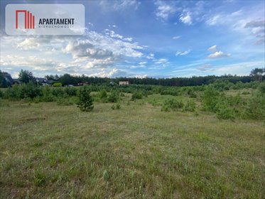 Działka 1050 m² w Nowej Kiszewie - cisza i natura. działka Nowa Kiszewa