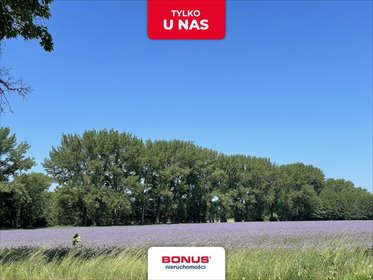 działka na sprzedaż 1136m2 działka Moryń