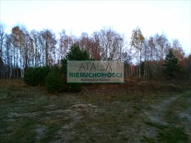 Działka budowlana 2357 m² w Szczęsnem - MPZP las rekreacja działka Szczęsne