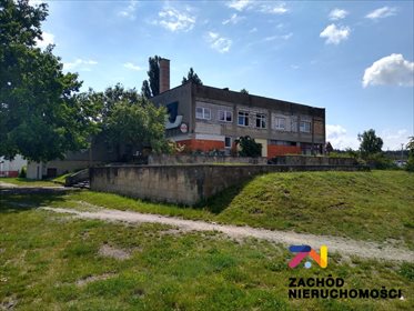 Lokal użytkowy na sprzedaż Łęknica 2 766m2 Foto 1