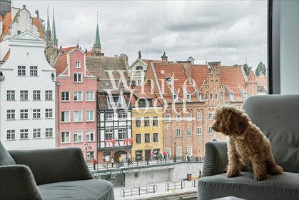 mieszkanie na sprzedaż 74m2 mieszkanie Gdańsk, Śródmieście, Chmielna