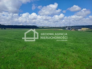 działka na sprzedaż 3000m2 działka Niestępowo