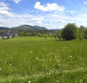 Działka 14,56 ar w Nowym Sączu (zabudowa willowa) działka Nowy Sącz, Bystrzycka