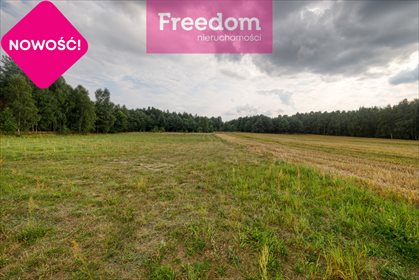 Działka rolna na sprzedaż Ożegów, Piaskowa 30 026m2 Foto 5