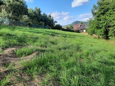 Działka budowlana na sprzedaż Trzebinia 1 596m2 Foto 5