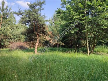 działka na sprzedaż 1000m2 działka Osowiec