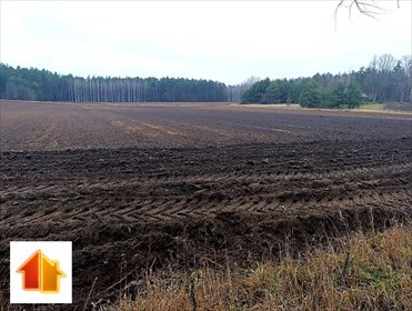 działka na sprzedaż 3694m2 działka Gorędy