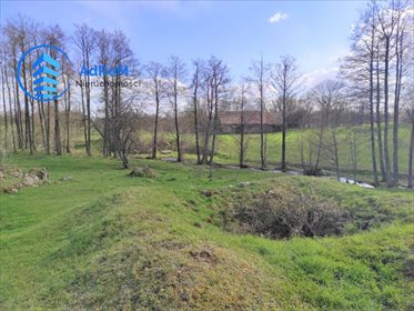 Działka siedliskowa na sprzedaż Rakówek 9 900m2 Foto 2