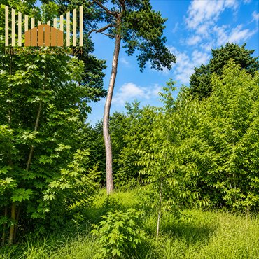 Działka 2800 m² pod dom jednorodzinny, asfalt, Radość działka Warszawa, Wawer Radość, Garncarska