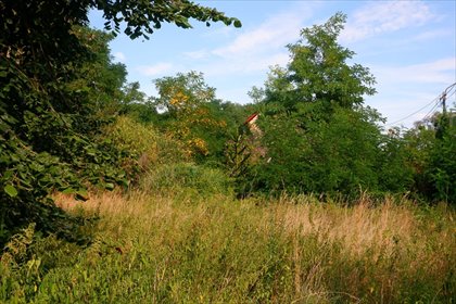 Polecam działkę 615 m² w zielonej części Wrocławia działka Wrocław
