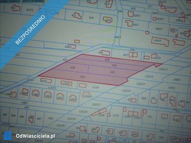 Działka 10 153 m² pod zabudowę (Nowa Wieś) z warunkami działka Nowa Wieś, Spacerowa