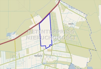 Na sprzedaż działka 173900 m² w Oleśnicy z potencjałem inwestycyjnym działka Oleśnica, Ostrowina