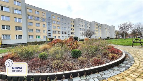 mieszkanie na sprzedaż 52m2 mieszkanie Częstochowa, Północ, Stefana Starzyńskiego