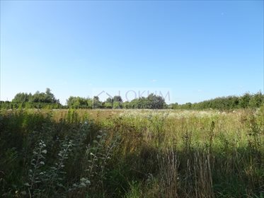 działka na sprzedaż 9000m2 działka Kazimierz Dolny