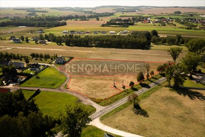 działka na sprzedaż 14282m2 działka Kobylice, Leśna