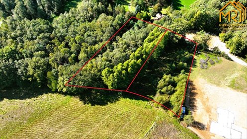 Działka bud.-rolna 5 374 m² z mediami, spokojna okolica działka Trzemesna