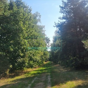 Działka 11 290 m² w otulinie parku krajobrazowego działka Prace Duże