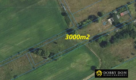 działka na sprzedaż 3000m2 działka Julianka