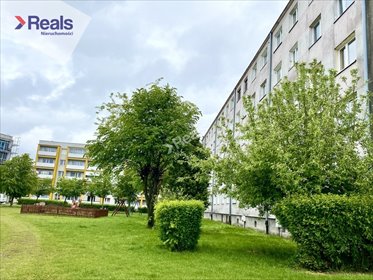 mieszkanie na sprzedaż 48m2 mieszkanie Płońsk, Północna