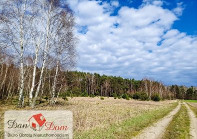 Działka rekreacyjna na sprzedaż Tarnowo 3 198m2 Foto 1