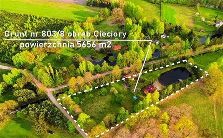 działka na sprzedaż 5656m2 działka Pupki
