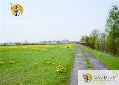 Działka budowlana na sprzedaż Wola Miedniewska 12 200m2 Foto 2