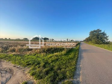 Sprzedam działkę 1686 m² w Ostrowicie - idealna pod dom i usługi działka Ostrowite