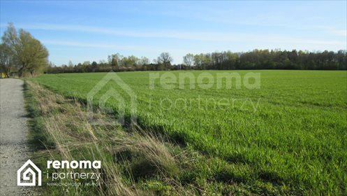 działka na sprzedaż 378m2 działka Międzyzdroje