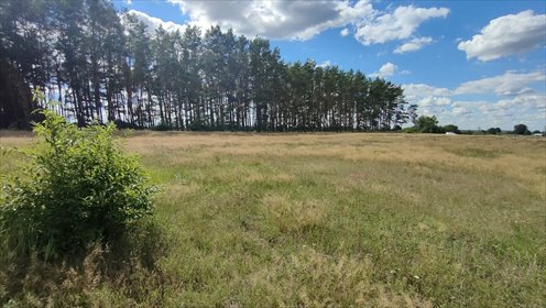Na sprzedaż działka 3 182 m² w Komarowie z lasem działka Komarowo
