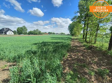 Działki budowlane w Borui Kościelnej, 1350-1410 m2 działka Boruja Kościelna
