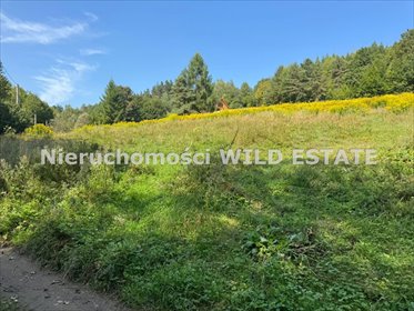 działka na sprzedaż 3454m2 działka Bóbrka