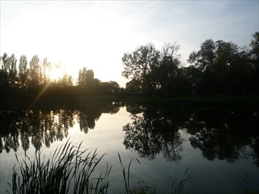 Dom na sprzedaż Popowo Kościelne, 38 650m2 Foto 4