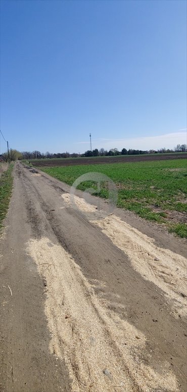 Działki 15 arów z mediami, spokojna okolica - polecam działka Gorzów Wielkopolski, Zakanale
