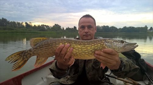 Działka rekreacyjna na sprzedaż Nowe Kusy 120 000m2 Foto 1