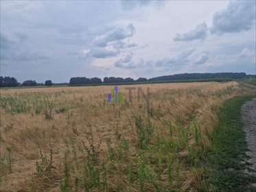 Działka budowlana 40 000 m² z mediami i warunkami zabudowy działka Miłocice