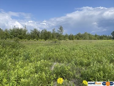 działka na sprzedaż 22000m2 działka Ciemne
