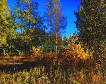 działka na sprzedaż 1300m2 działka Jastrzębnik